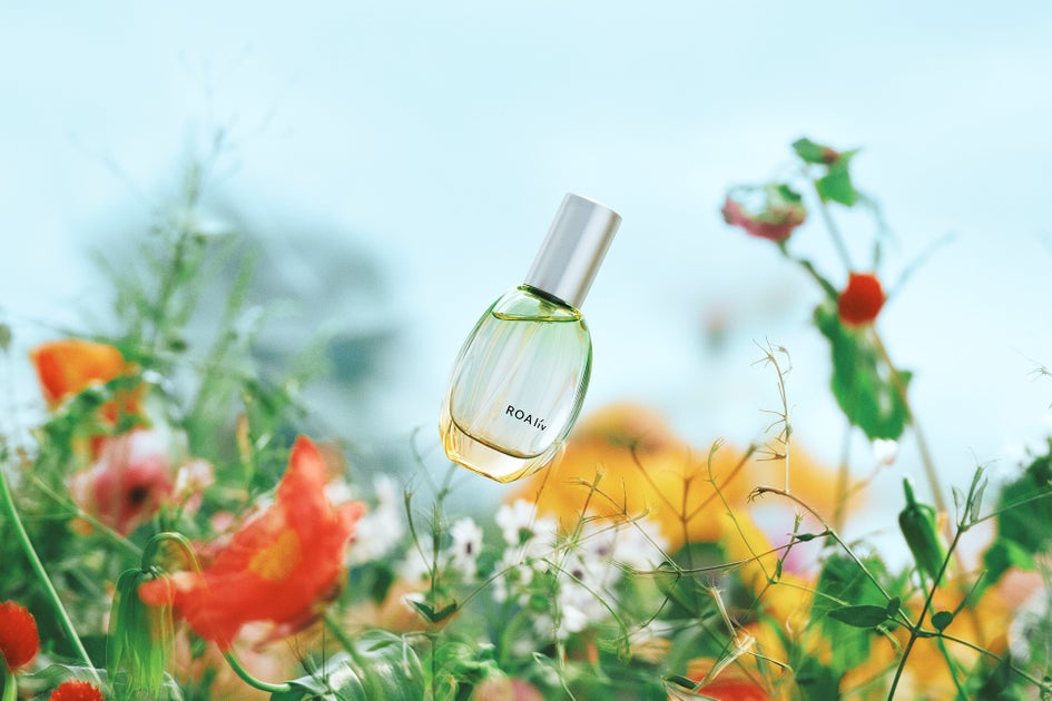 SCENT PROFILE｜特徴・発売日・気になるポイント